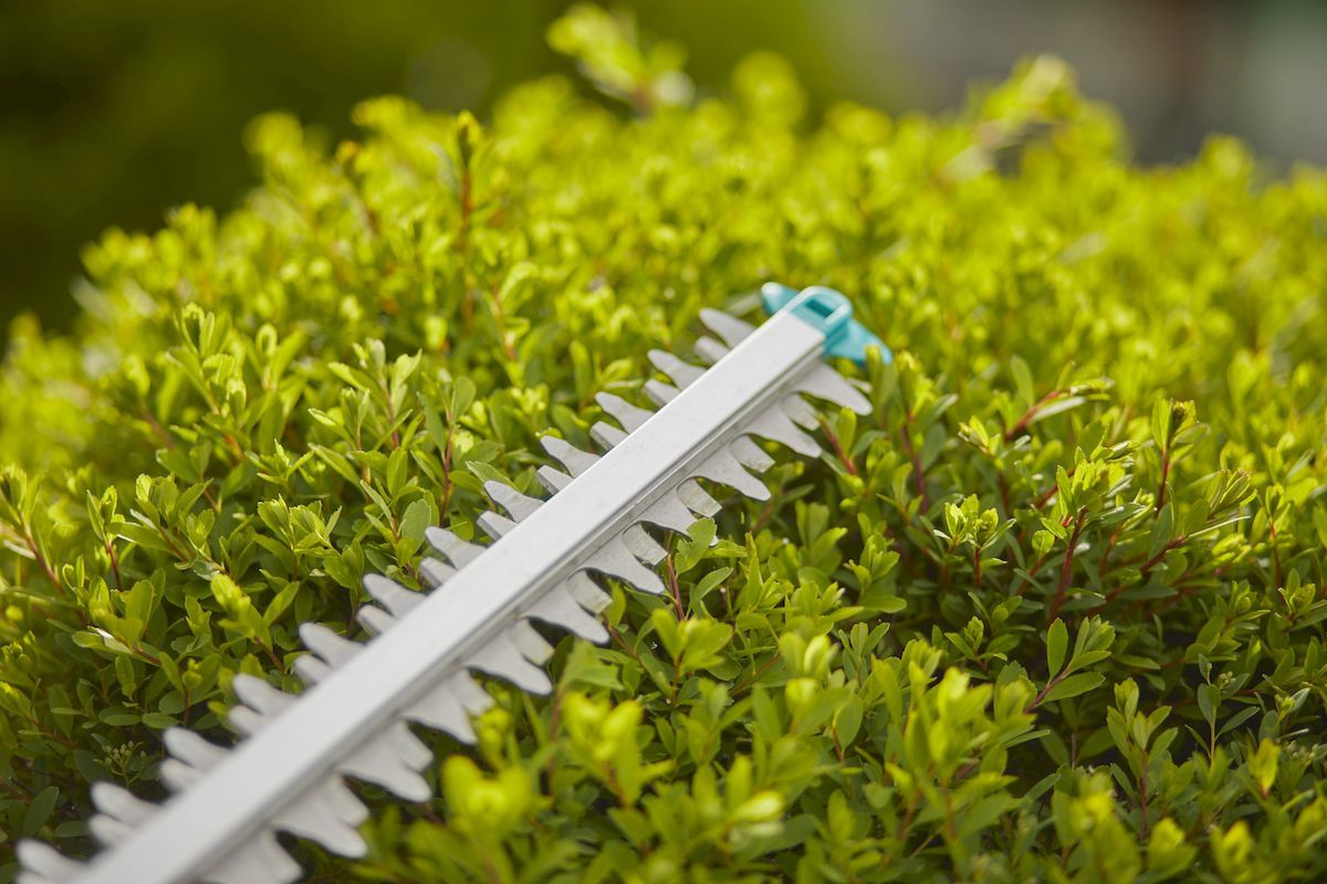 Gardena ComfortCut Li-18/60 accu heggenschaar zonder accu tip protector