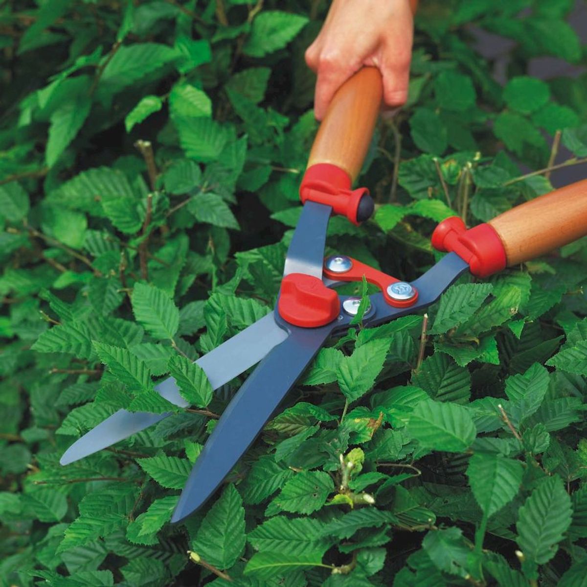 Wolf-Garten HS-G heggenschaar