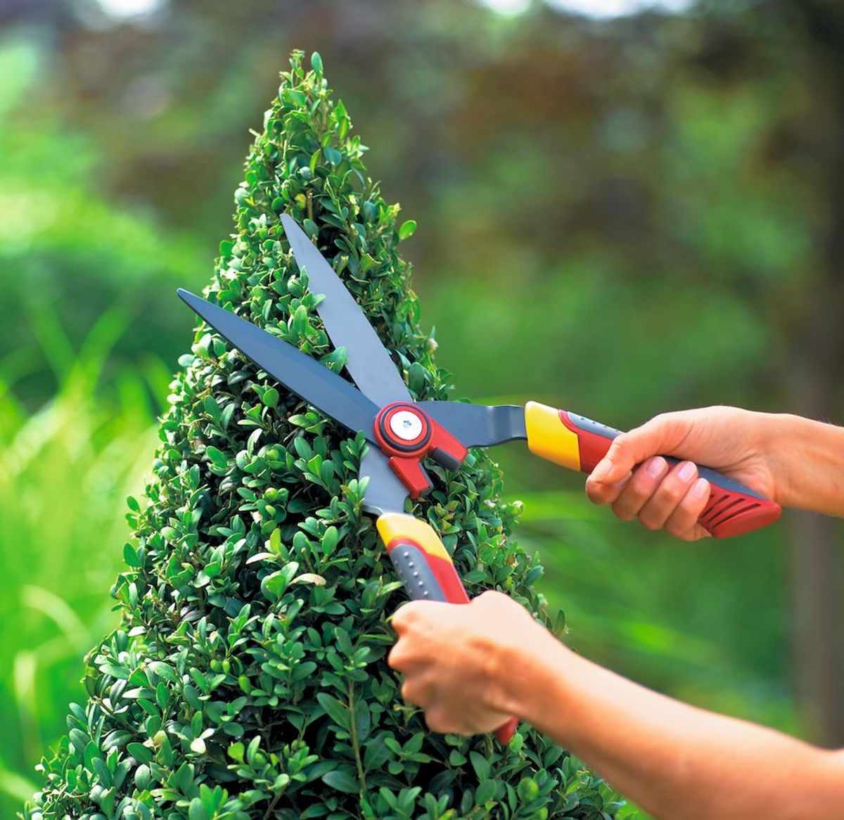 Wolf-Garten HS-B heggenschaar