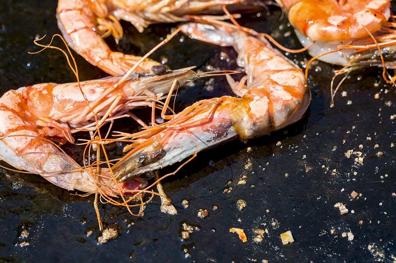 Ofyr kookboek garnalen