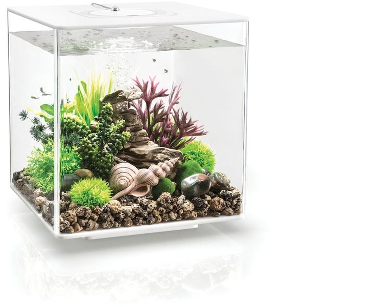 biOrb Cube 30 LED - wit