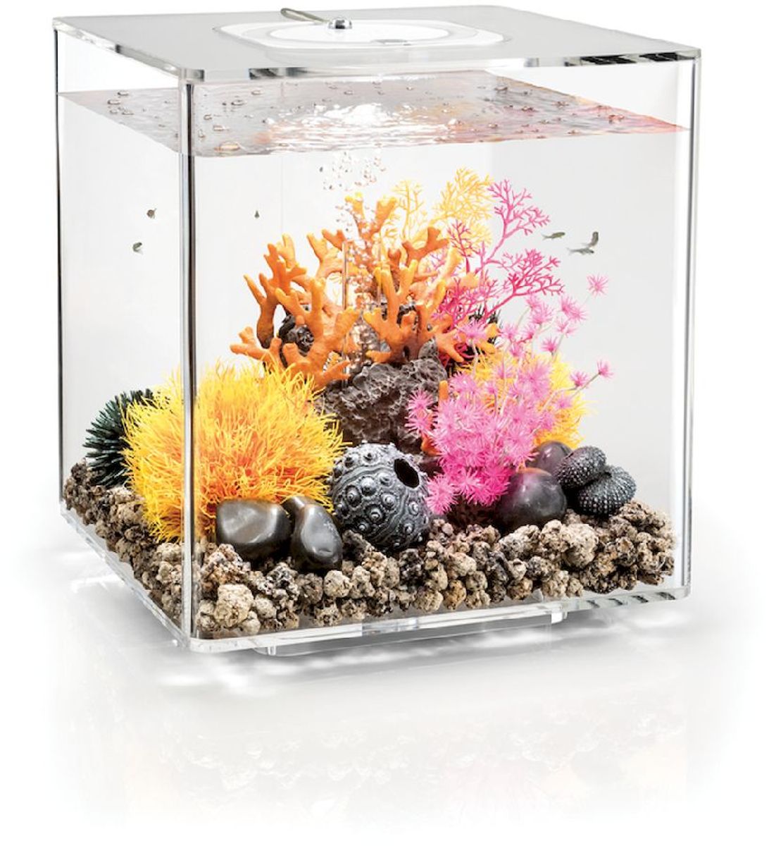 biOrb Cube 30 LED - transparant