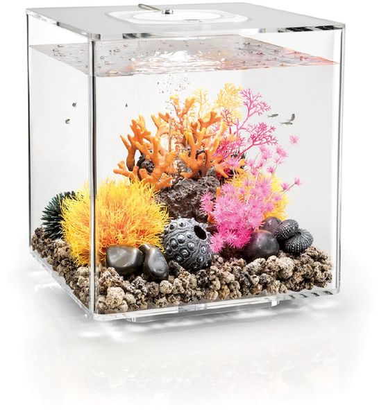 biOrb Cube 30 LED - transparant