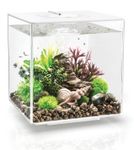 biOrb Cube 30 MCR - wit