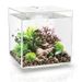 biOrb Cube 30 MCR - wit