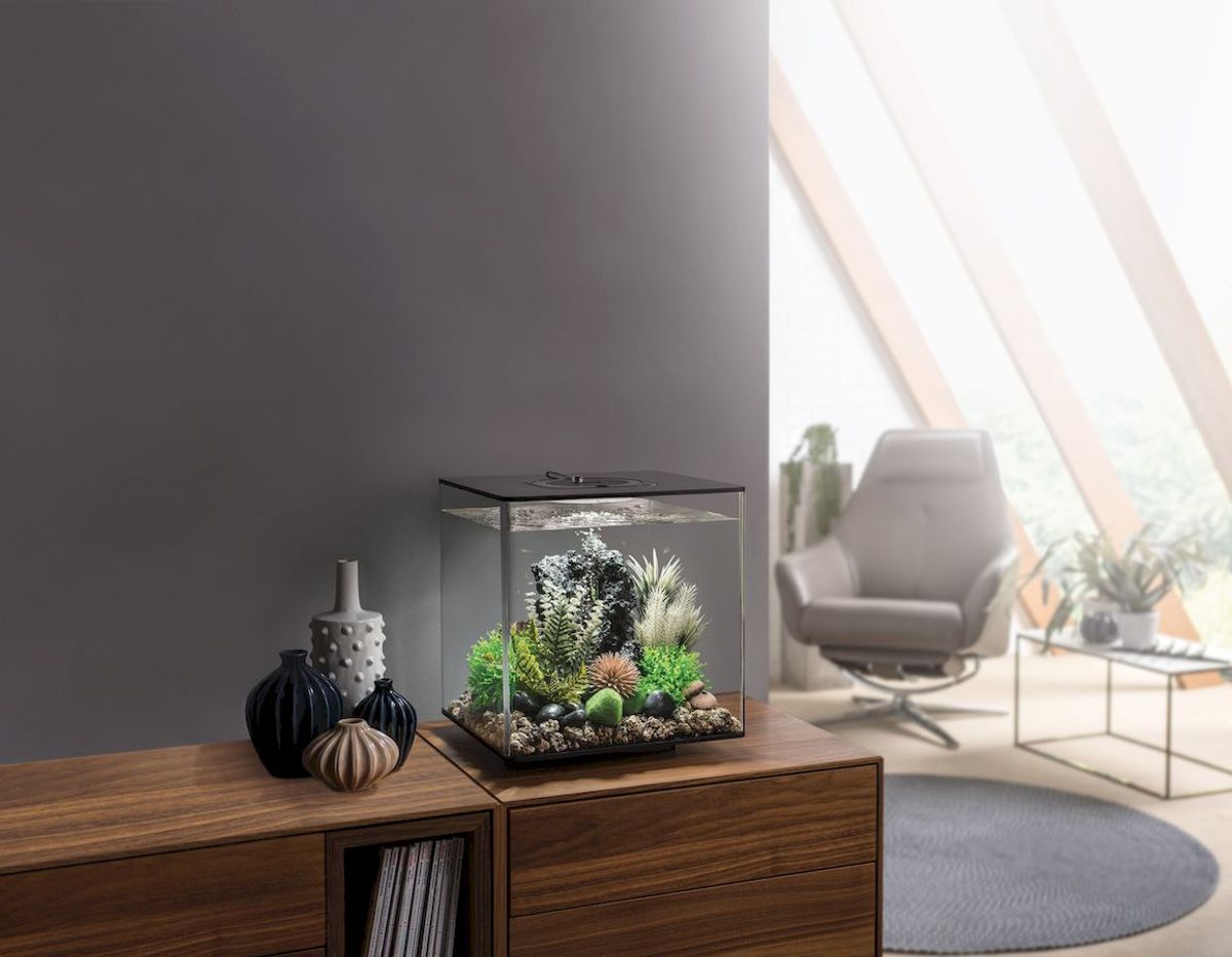 biOrb Cube 30 MCR - zwart kamer