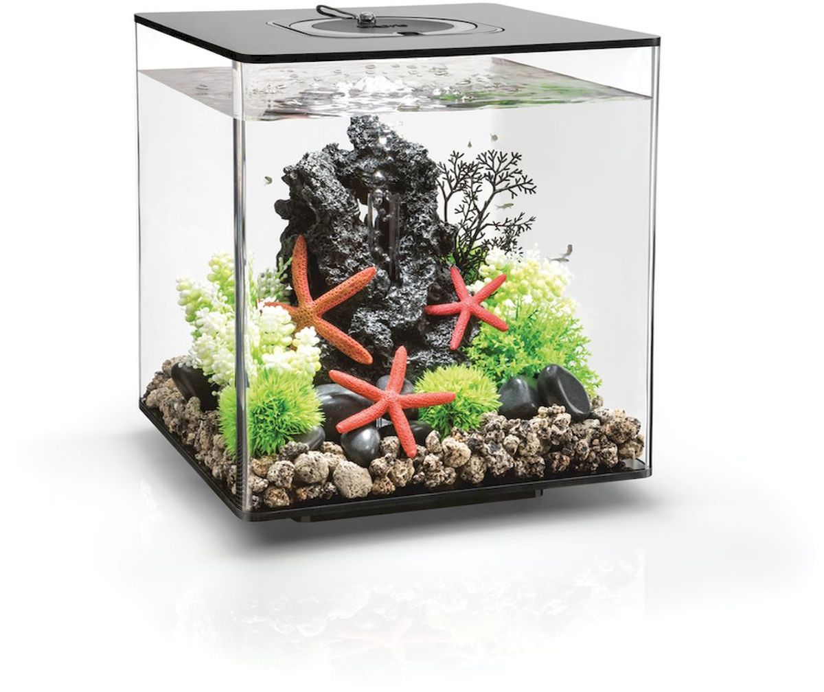 biOrb Cube 30 MCR - zwart