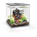 biOrb Cube 30 MCR - zwart
