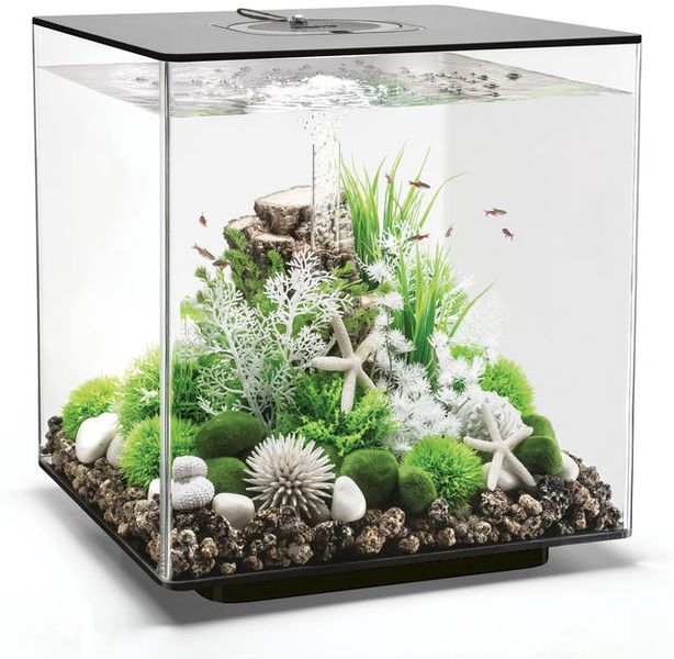 biOrb Cube 60 led - zwart