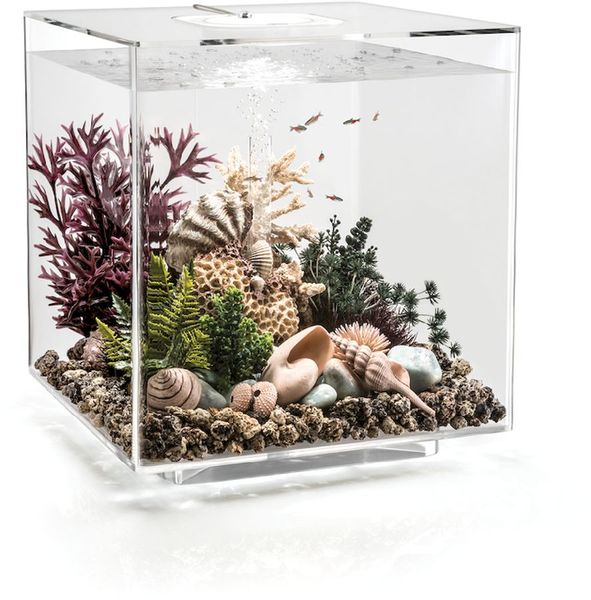 biOrb Cube 60 LED - transparant