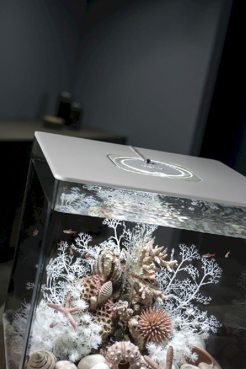 biOrb Cube 60 MCR - wit