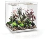biOrb Cube 60 MCR - wit