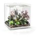 biOrb Cube 60 MCR - wit