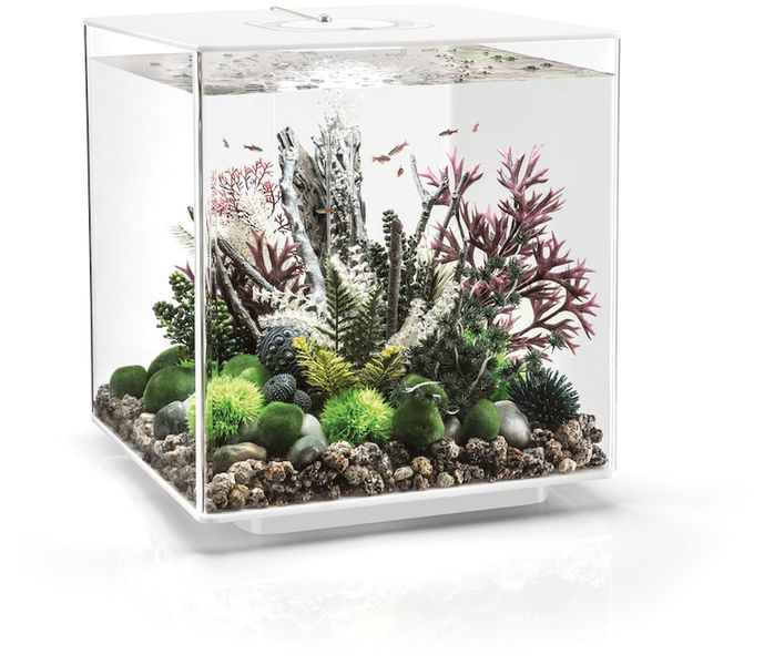 biOrb Cube 60 MCR - wit