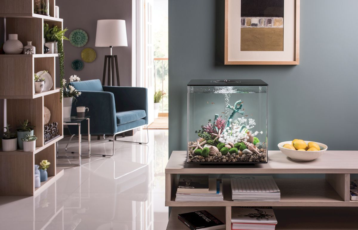 biOrb Cube 60 MCR - zwart kamer