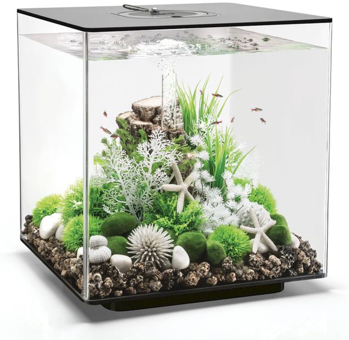 biOrb Cube 60 MCR - zwart