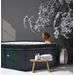 NetSpa Octopus opbouw jacuzzi 6 persoons