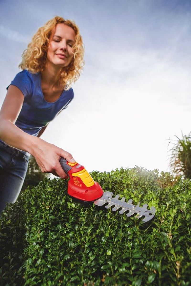 Wolf-Garten Li-ion Power 30 B buxusschaar - buxus snoeien