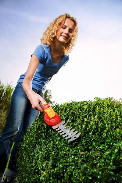 Wolf-Garten Li-ion Power 30 B buxusschaar - buxus snoeien