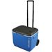 Coleman 60QT Wheeled Performance passieve koelbox - 56L