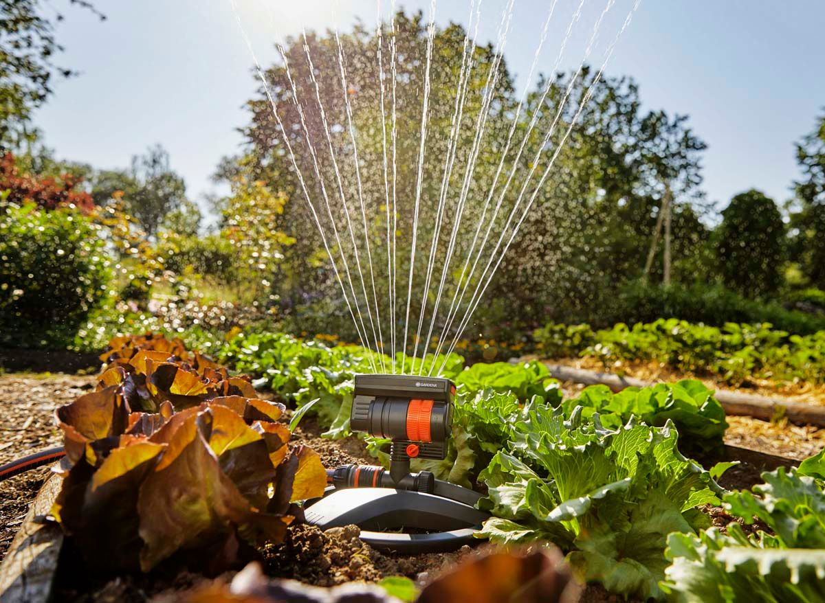 Gardena AquaZoom zwenksproeier compact voor groenteperk