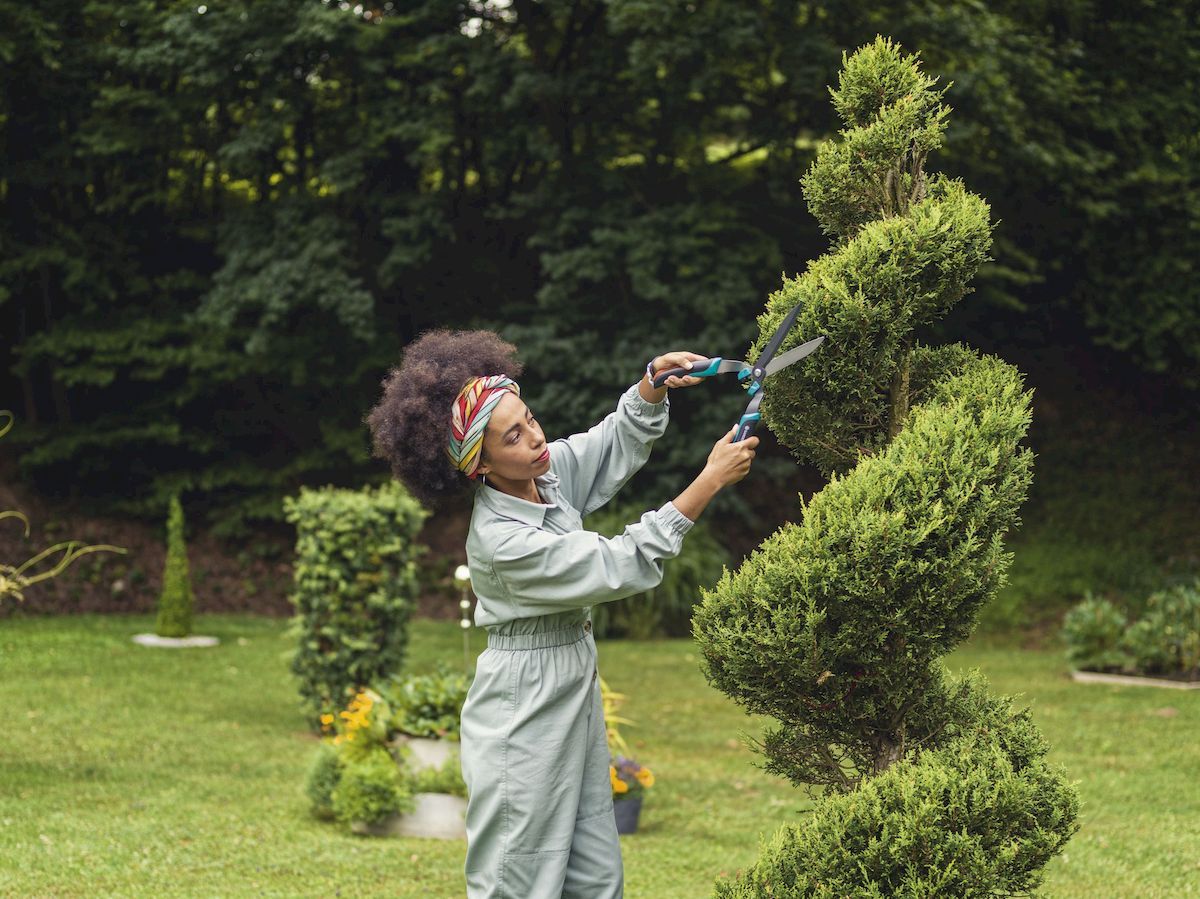 Gardena PrecisionCut Buxusschaar vormsnoeien