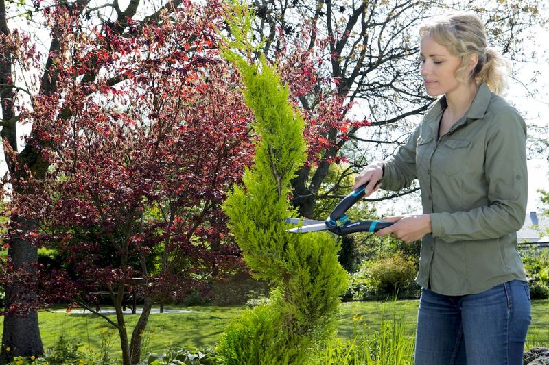 Gardena PrecisionCut Buxusschaar vormsnoeien gebruik