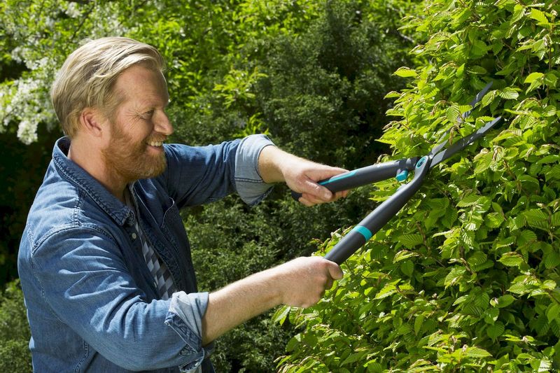 Gardena EasyCut Heggenschaar in gebruik door man