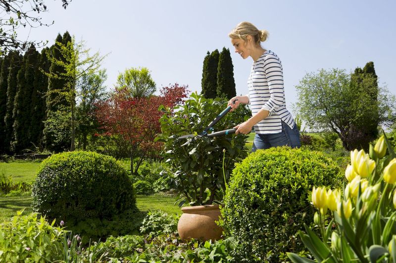 Gardena EasyCut Heggenschaar in gebruik ver weg