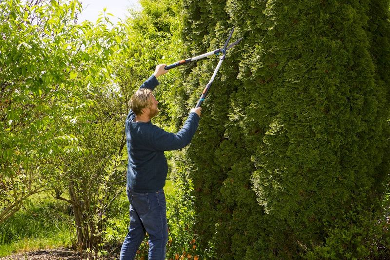 Gardena TeleCut heggenschaar