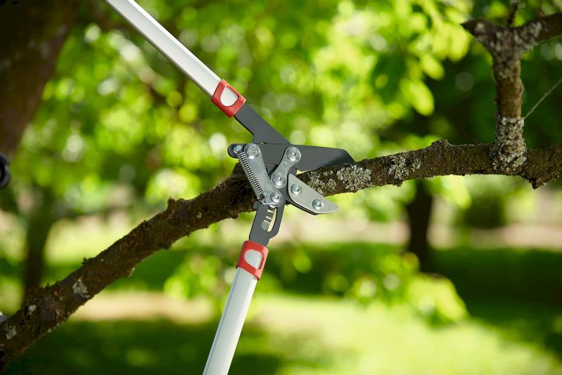 Wolf-Garten Power Cut RS 800 V takkenschaar Powercut