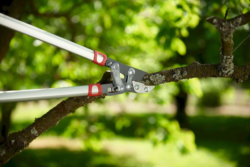 Wolf-Garten Power Cut RS 800 V takkenschaar Powercut aambeeld 50 mm