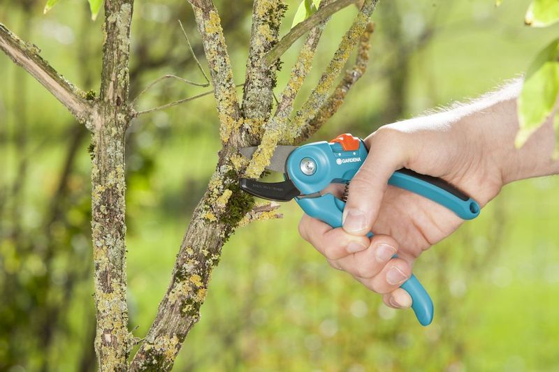 Gardena Classic aambeeld snoeischaar takken knippen