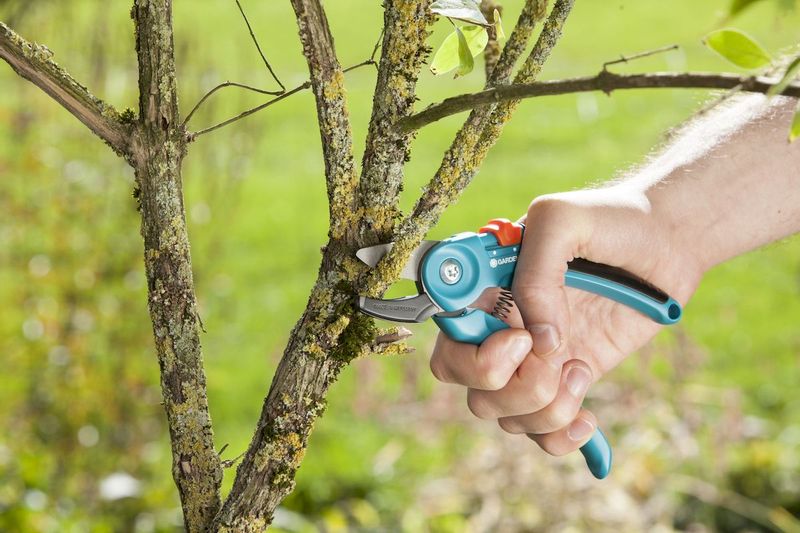 Gardena Classic aambeeld snoeischaar takken knippen