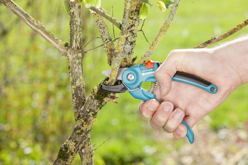 Gardena Classic aambeeld snoeischaar takken knippen