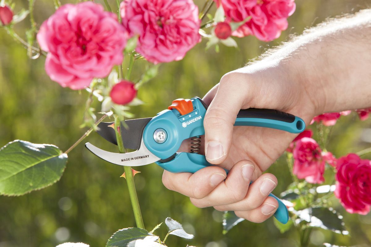 Gardena Classic bypass snoeischaar rozenstruik snoeien
