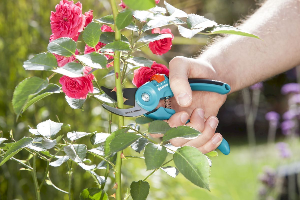 Gardena Classic bypass snoeischaar rozenstruik snoeien