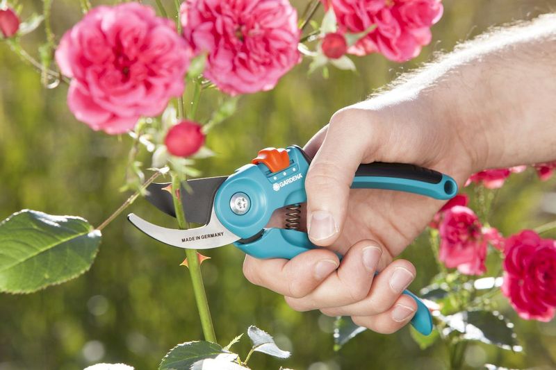 Gardena Classic bypass snoeischaar rozenstruik snoeien