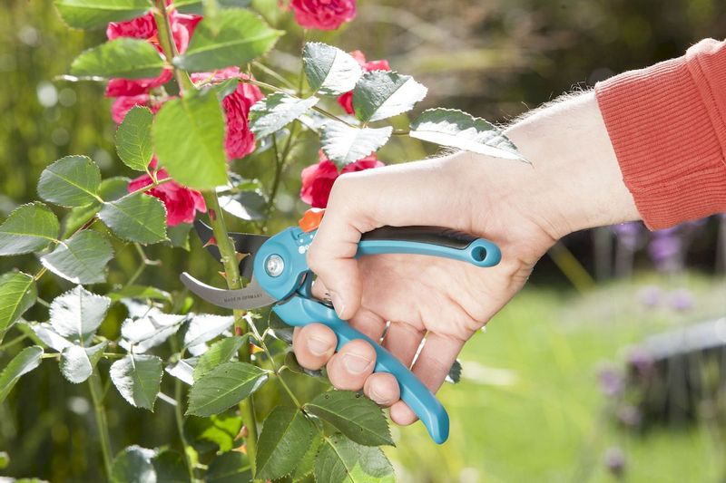 Gardena Classic bypass snoeischaar rozenstruik snoeien