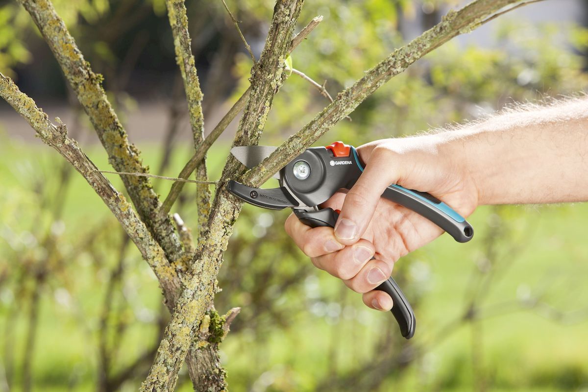 Gardena Comfort aambeeld snoeischaar takken snoeien