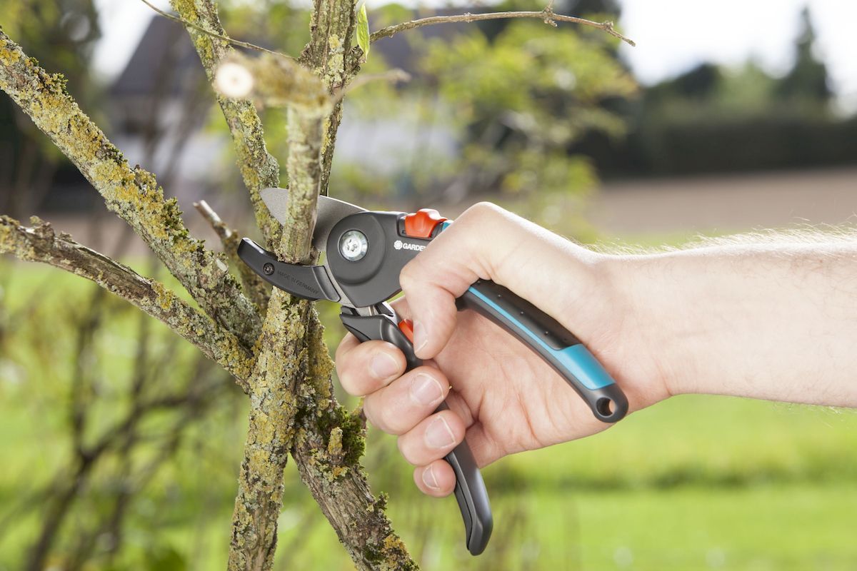 Gardena Comfort aambeeld snoeischaar takken snoeien