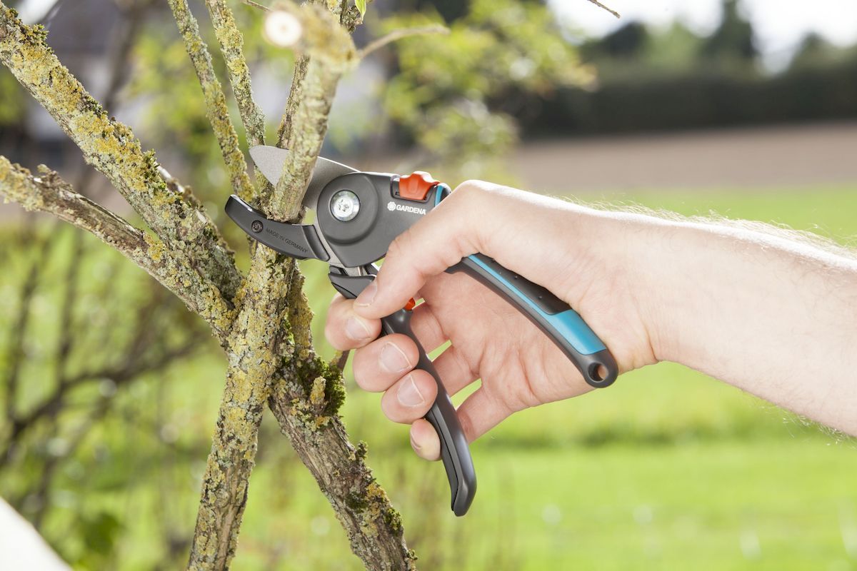 Gardena Comfort aambeeld snoeischaar takken snoeien