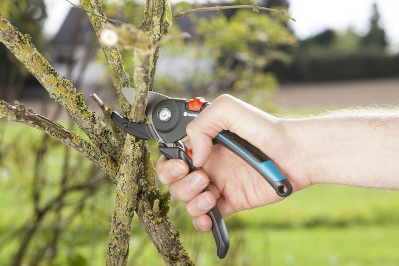 Gardena Comfort aambeeld snoeischaar takken snoeien