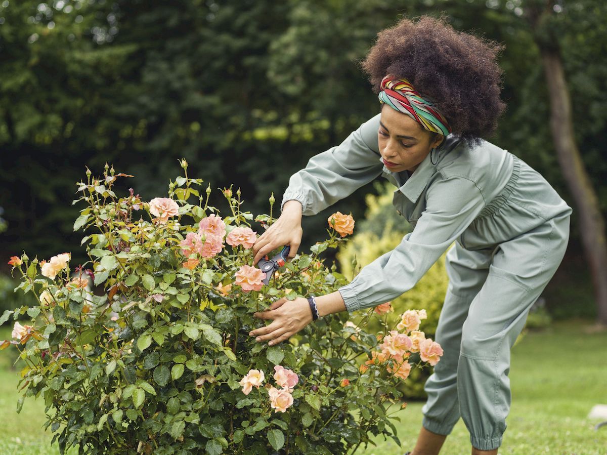 Gardena Comfort bypass snoeischaar bloemen knippen