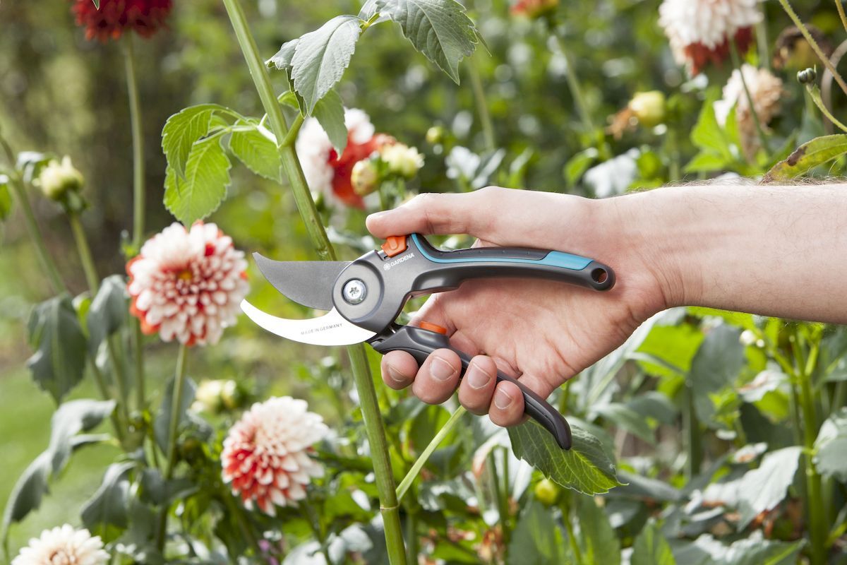 Gardena Comfort bypass snoeischaar bloemen knippen