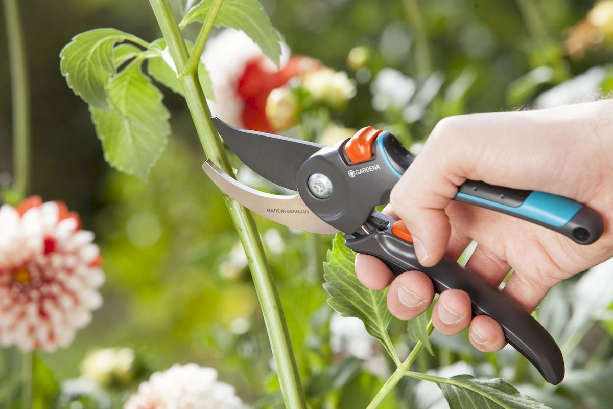 Gardena Comfort bypass snoeischaar bloemen knippen