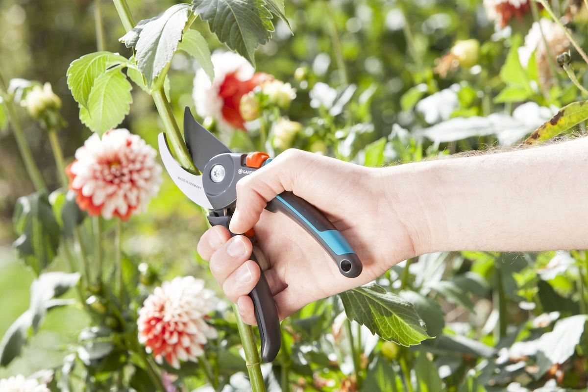 Gardena Comfort bypass snoeischaar bloemen knippen