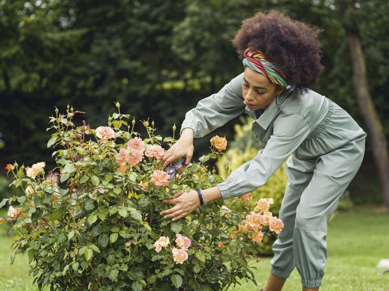 Gardena Comfort bypass snoeischaar bloemen knippen