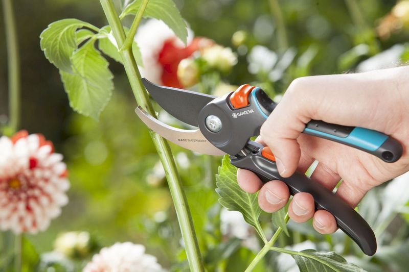 Gardena Comfort bypass snoeischaar bloemen knippen