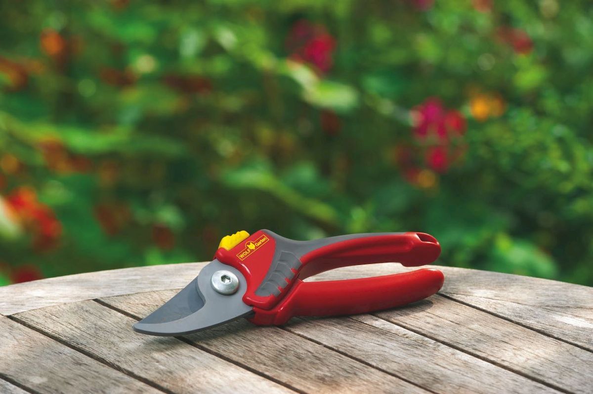 Wolf-Garten Comfort Plus RR2500 snoeischaar op tafel